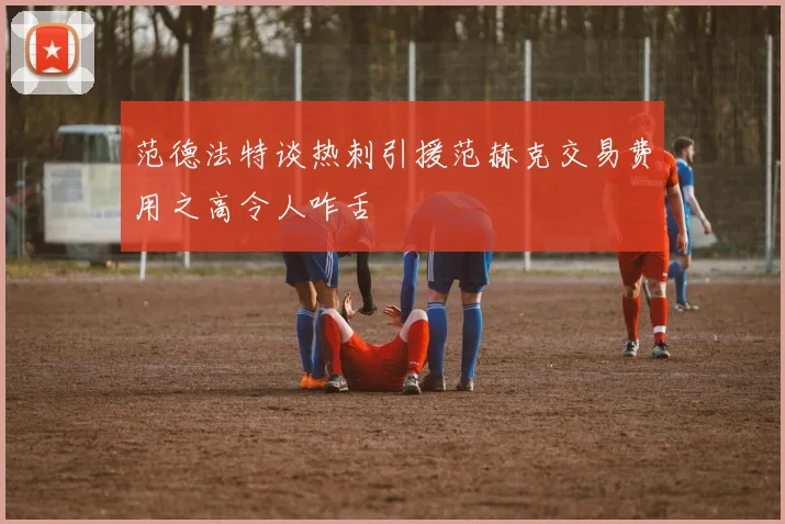 范德法特谈热刺引援范赫克交易费用之高令人咋舌