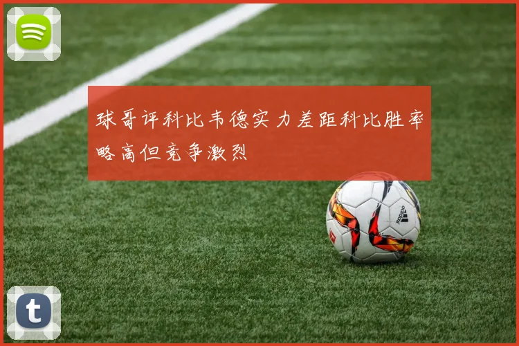 球哥评科比韦德实力差距科比胜率略高但竞争激烈