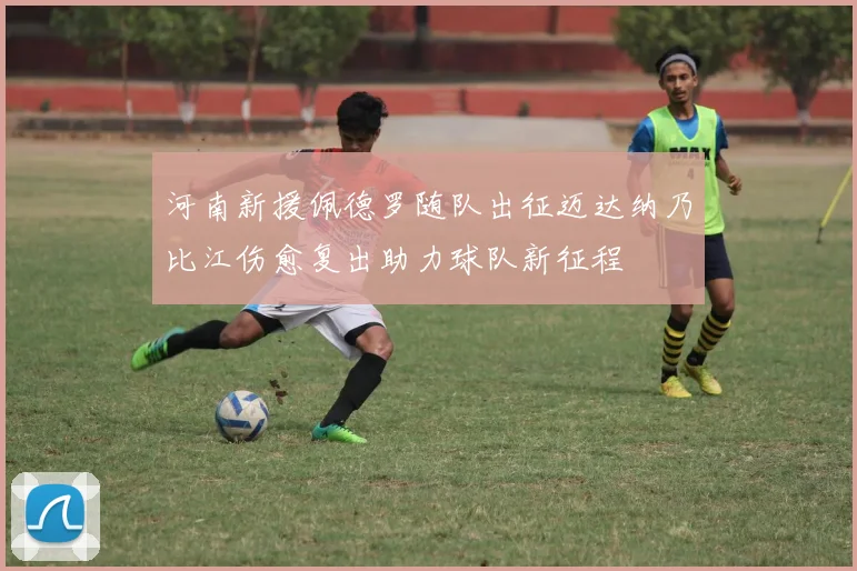 河南新援佩德罗随队出征迈达纳乃比江伤愈复出助力球队新征程