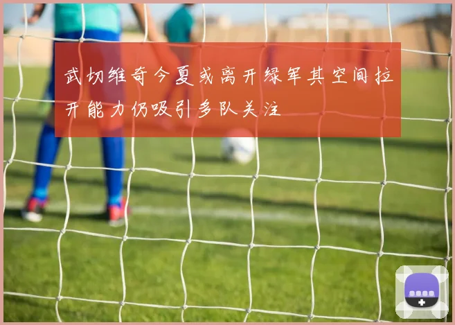 武切维奇今夏或离开绿军其空间拉开能力仍吸引多队关注